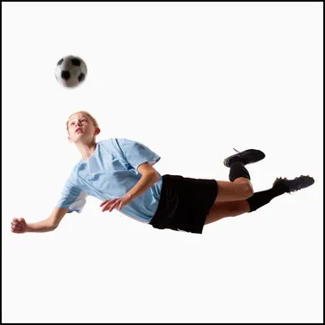 乐鱼体育App图标